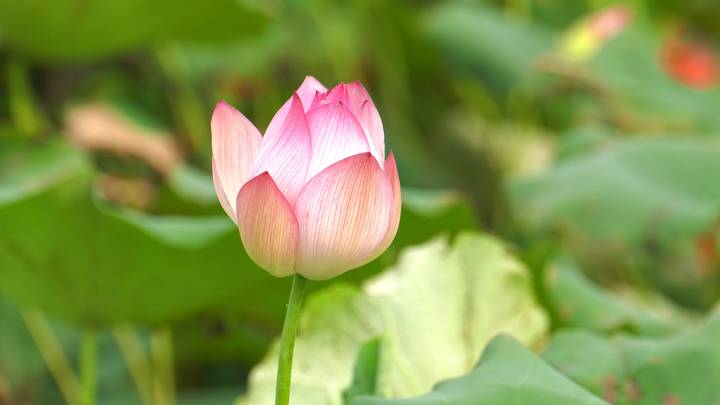 �ò�(�й�)�������ܿƼ��ɷ����޹�˾��վ