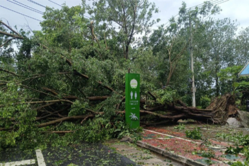 �ò�(�й�)�������ܿƼ��ɷ����޹�˾��վ